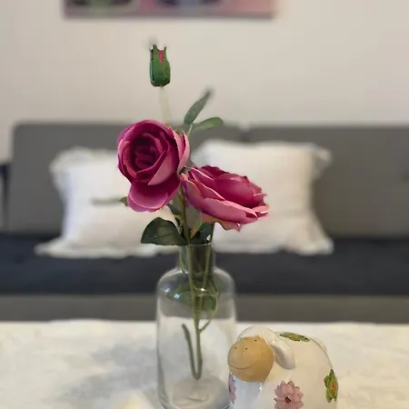 Villa Marzenie Apartamet 2 Pokojowy Wdzydze Kiszewskie Esterno foto