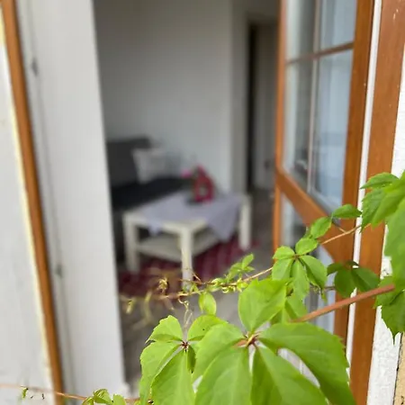 Villa Marzenie Apartamet 2 Pokojowy Wdzydze Kiszewskie Esterno foto
