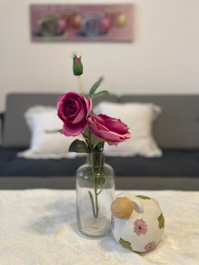 Marzenie Apartamet 2 Pokojowy