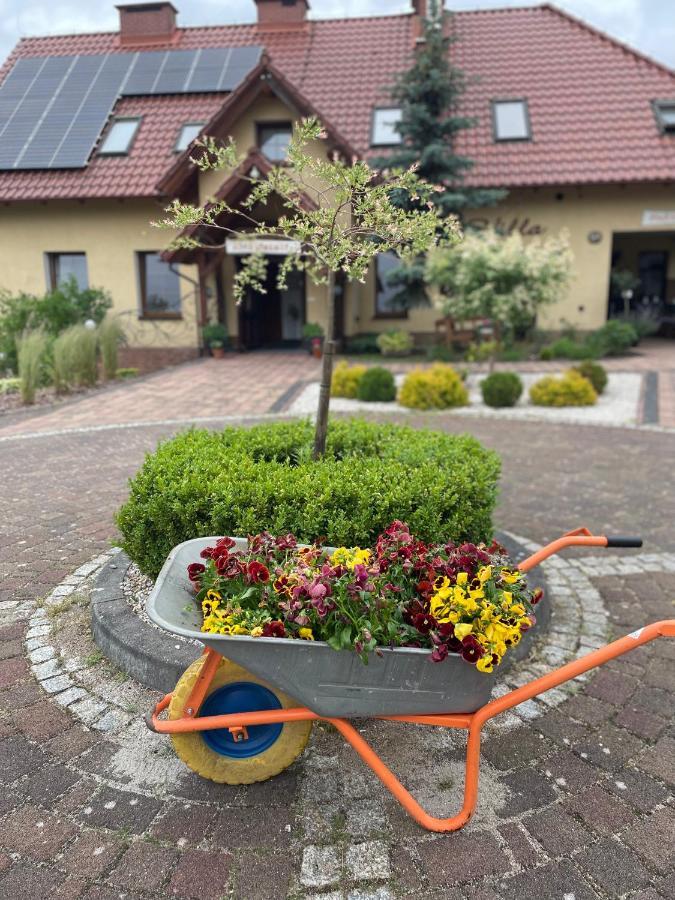 Marzenie Apartamet 2 Pokojowy Wdzydze Kiszewskie