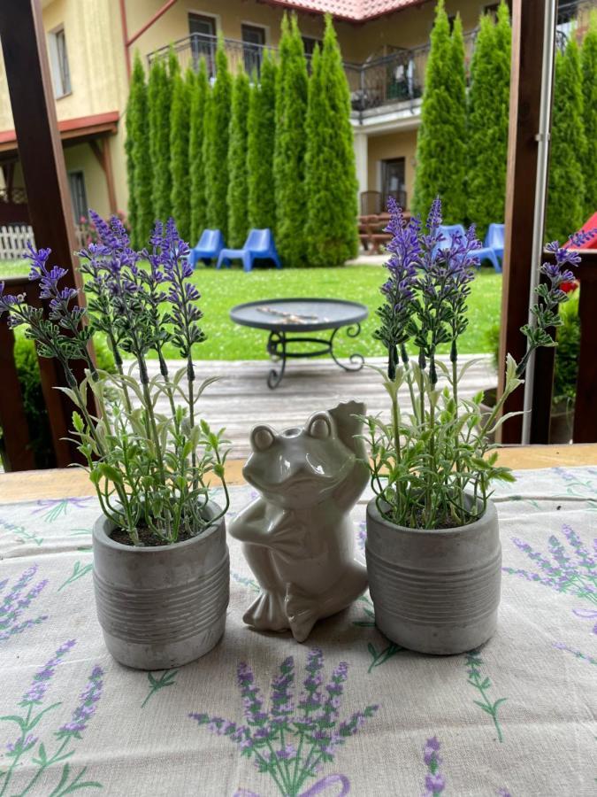 Apartment Marzenie Apartamet 2 Pokojowy Wdzydze Kiszewskie