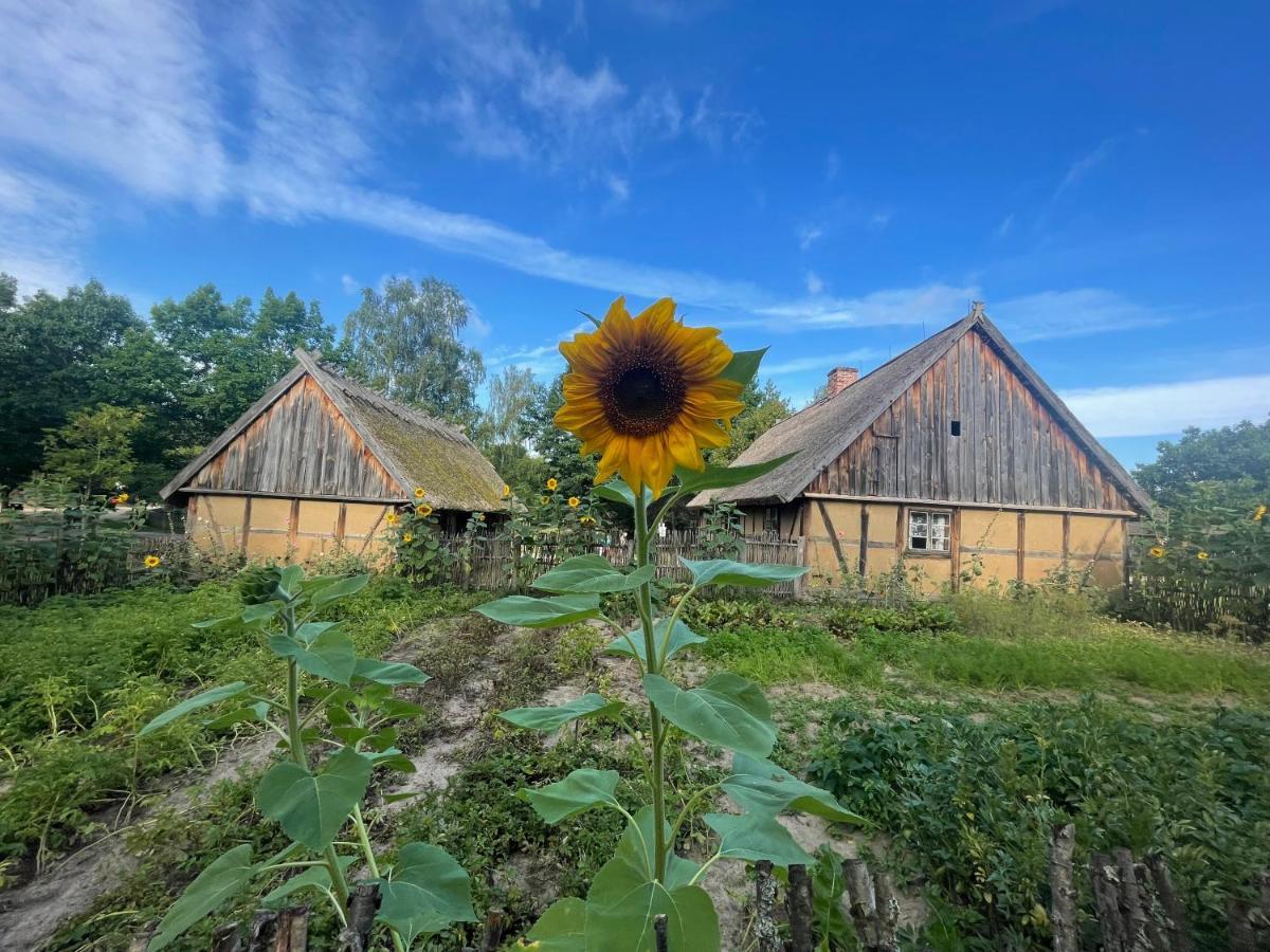 Marzenie Apartamet 2 Pokojowy Appartamento *