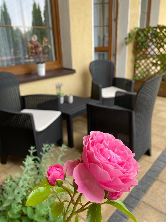 Marzenie Apartamet 2 Pokojowy * Wdzydze Kiszewskie
